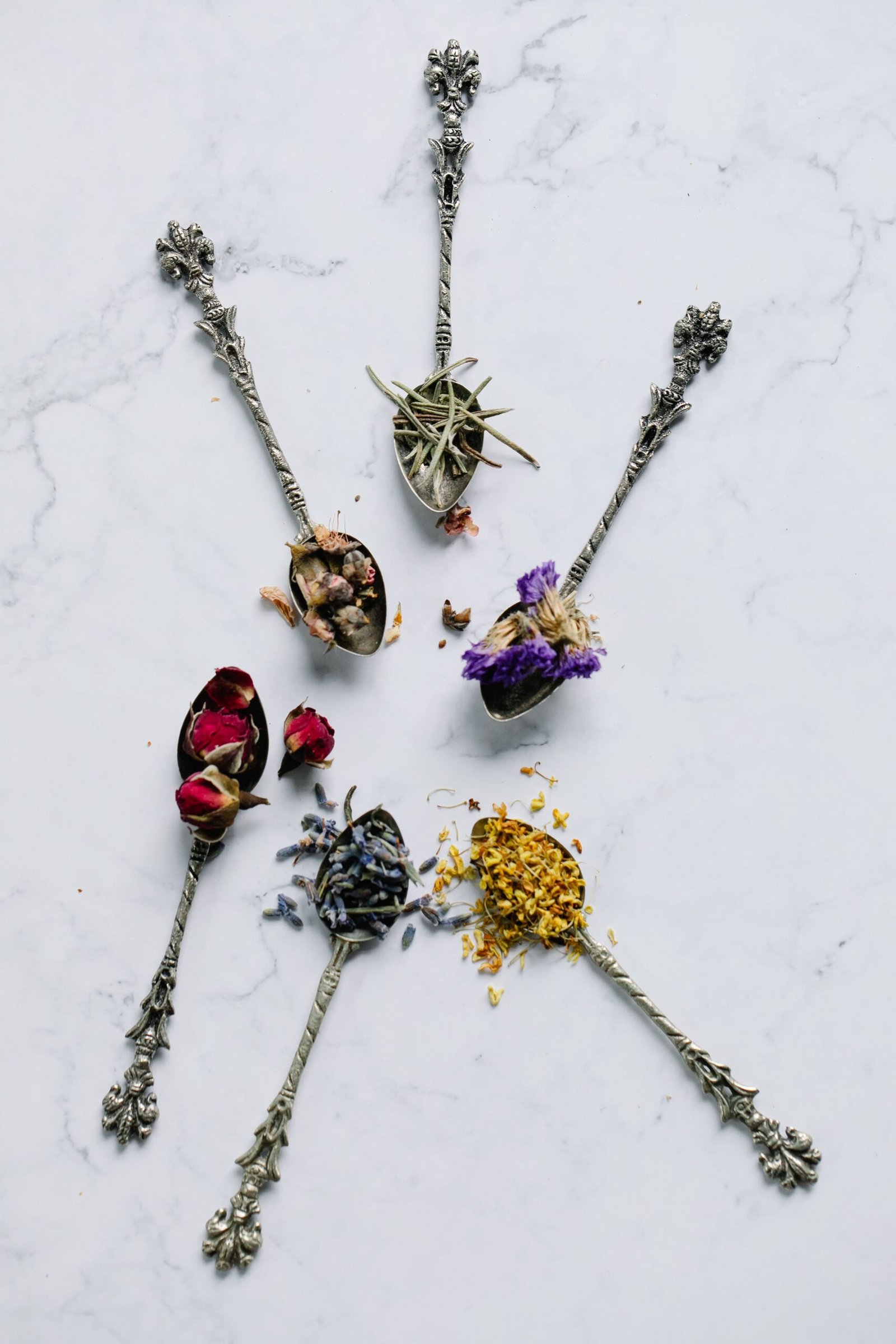 Chá de amora, isoflavona, linhaça, black cohosh, maca peruana: o que funciona e o que é lenda